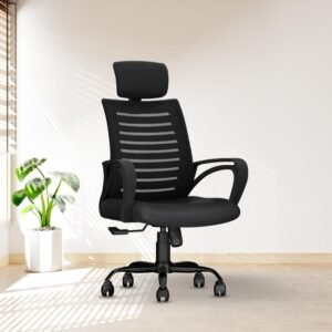 CELLBELL Desire C104 Mesh High Back Ergonomic Office Chair for Work from Home